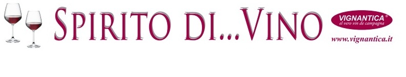 Degustazione dei vini del Lago Maggiore da Spirito Di Vino