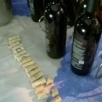 Calici di Stelle 2015
