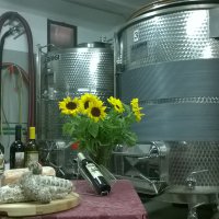 Cantine Aperte 2015