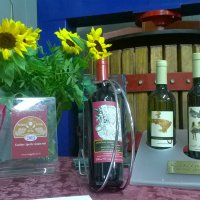 Cantine Aperte 2015