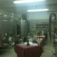 Cantine Aperte 2015