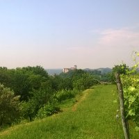 Cantine Aperte 2015