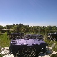 Cantine Aperte in Vendemmia 2015