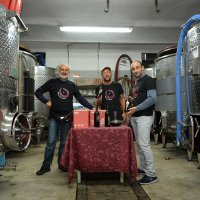 Cantine Aperte in Vendemmia 2015