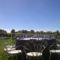 Cantine Aperte in Vendemmia 2015