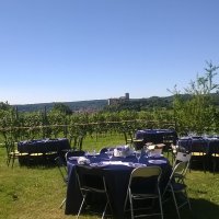 Cantine Aperte in Vendemmia 2015