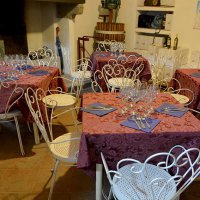 Cantine Aperte in Vendemmia 2015