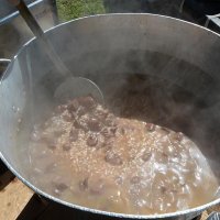 Cantine Aperte in Vendemmia 2015