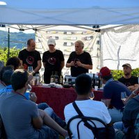 Cantine Aperte in Vendemmia 2015