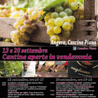 Cantine Aperte in Vendemmia 2015