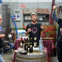 Cantine Aperte in Vendemmia 2015