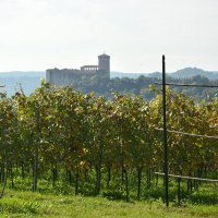 Cantine Aperte in Vendemmia 2015