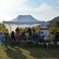 Cantine Aperte in Vendemmia 2015
