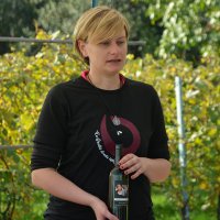 Cantine Aperte in Vendemmia 2015