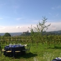 Cantine Aperte in Vendemmia 2015