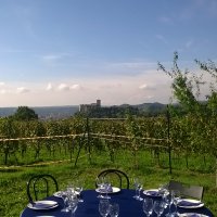 Cantine Aperte in Vendemmia 2015