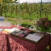 Cantine Aperte in Vendemmia 2015