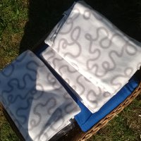 Cantine Aperte in Vendemmia 2015