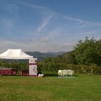 Cantine Aperte in Vendemmia 2015