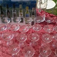 Cantine Aperte in Vendemmia 2015
