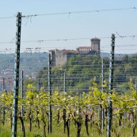 Cascina Piano in primavera