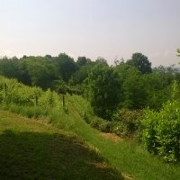 Cascina Piano in primavera