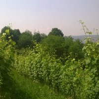 Cascina Piano in primavera