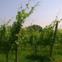 Cascina Piano in primavera