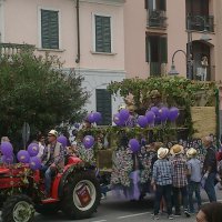 Settembre Angerese 2015